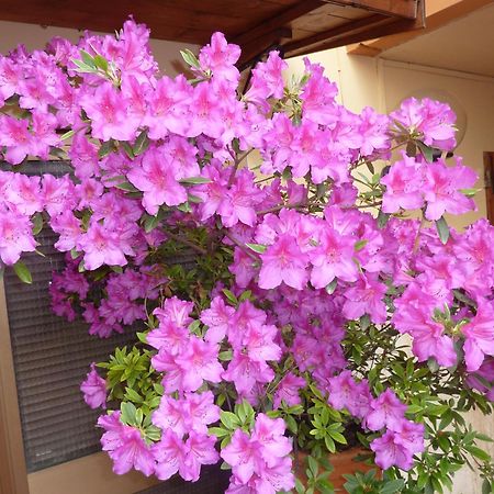 Primettahouse Hotel ซานจีมิญญาโน ภายนอก รูปภาพ